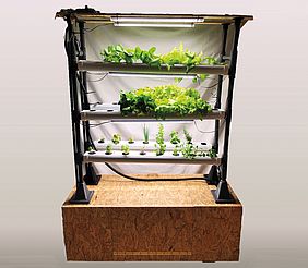 Prototyp einer vertikalen Gemüsezucht