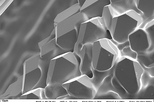 Filament under a scanning electron microscope