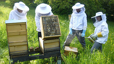Vier Menschen in Imker-Schutzkleidung. Rechts stehen zwei davon hinter zwei Bienenstöcken.