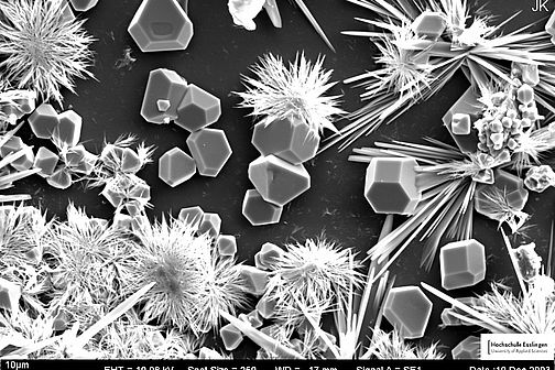 Crystals of sodium chloride and sodium phosphate under a scanning electron microscope